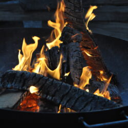 Kinder-Halloweenfest von PRO-Pressbaum SPÖ